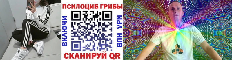 как найти   Вихоревка  Псилоцибиновые грибы мицелий 